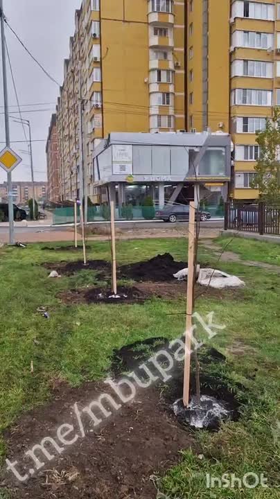 Посадки ул. Батманова