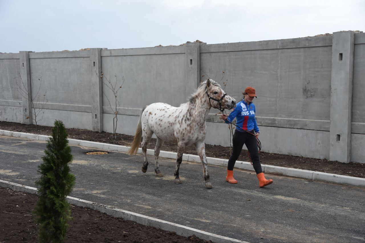 Первый лицензированный конный центр, специализирующийся на иппотерапии, открыт в Дагестане благодаря поддержке Заура Аскендерова Первый лицензированный конный центр, специализирующийся на иппотерапии, открыт в Дагестане благодаря поддержке Заура Аскендерова