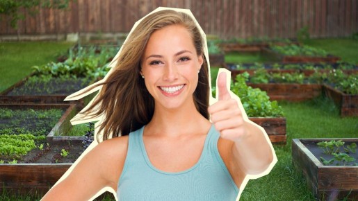 Щавель и укроп можно заготовить на зиму уже сейчас: воспользуйтесь простым способом