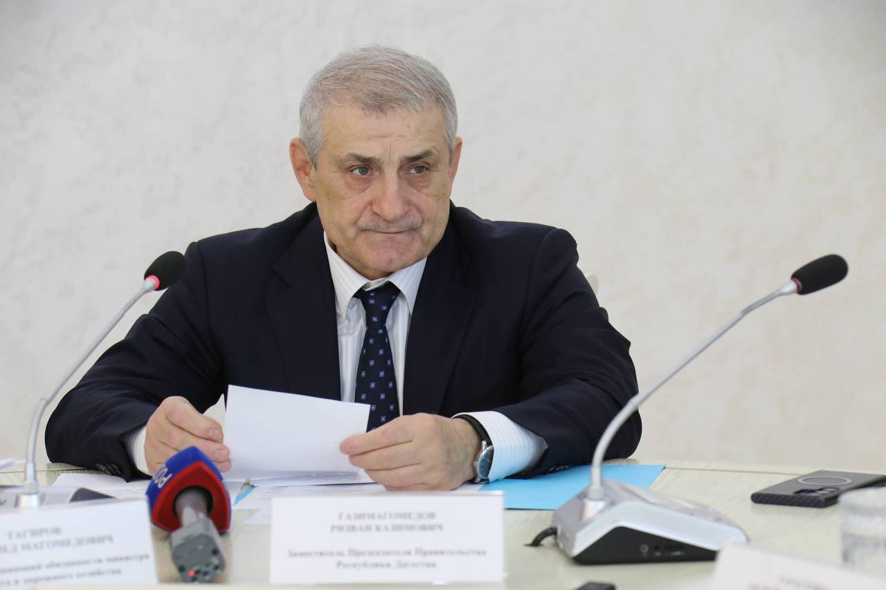 Махачкала может стать центром каспийского круизного туризма