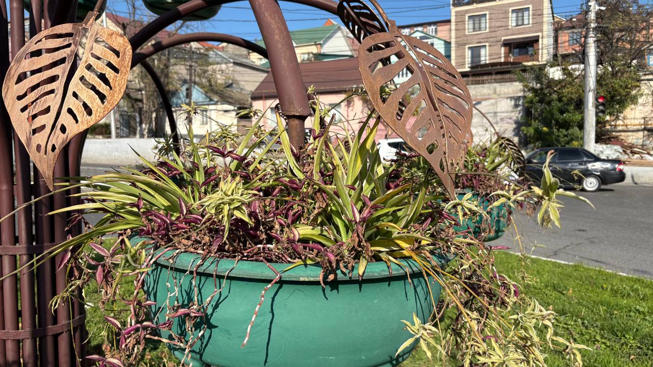 В Махачкале продолжается работа по благоустройству города! В Махачкале продолжается работа по благоустройству города!