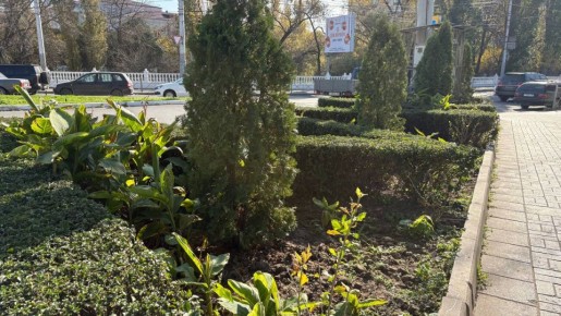 В Махачкале продолжается работа по благоустройству города!