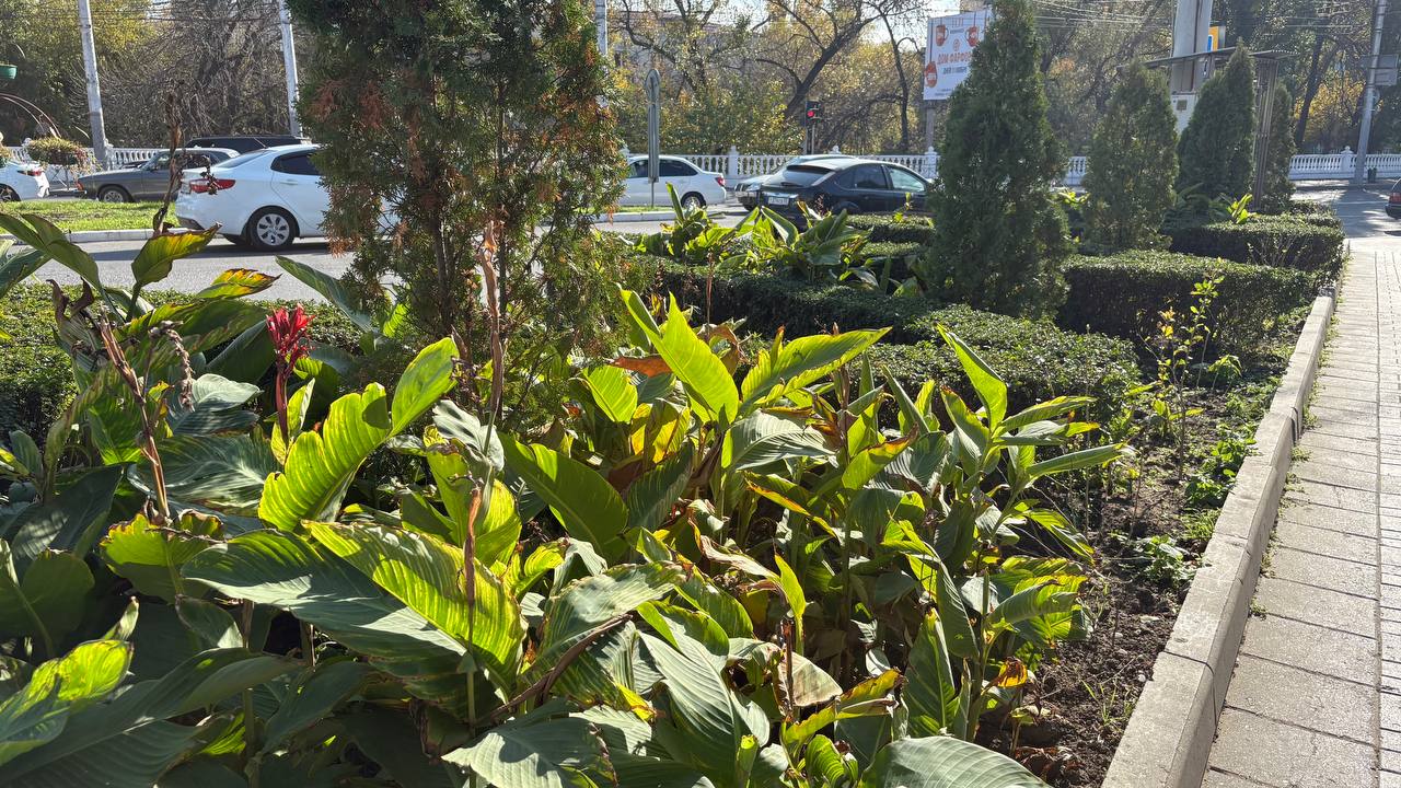 В Махачкале продолжается работа по благоустройству города! В Махачкале продолжается работа по благоустройству города!