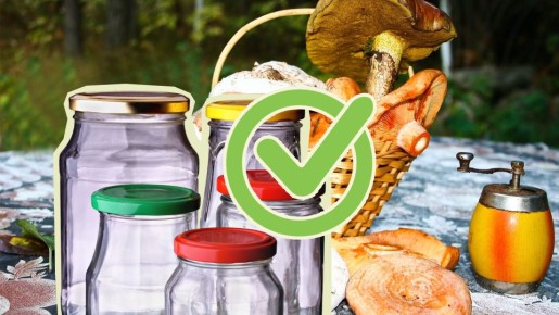 Не придется выбрасывать банки с груздями: вот надо как заготавливать, чтобы не горчили