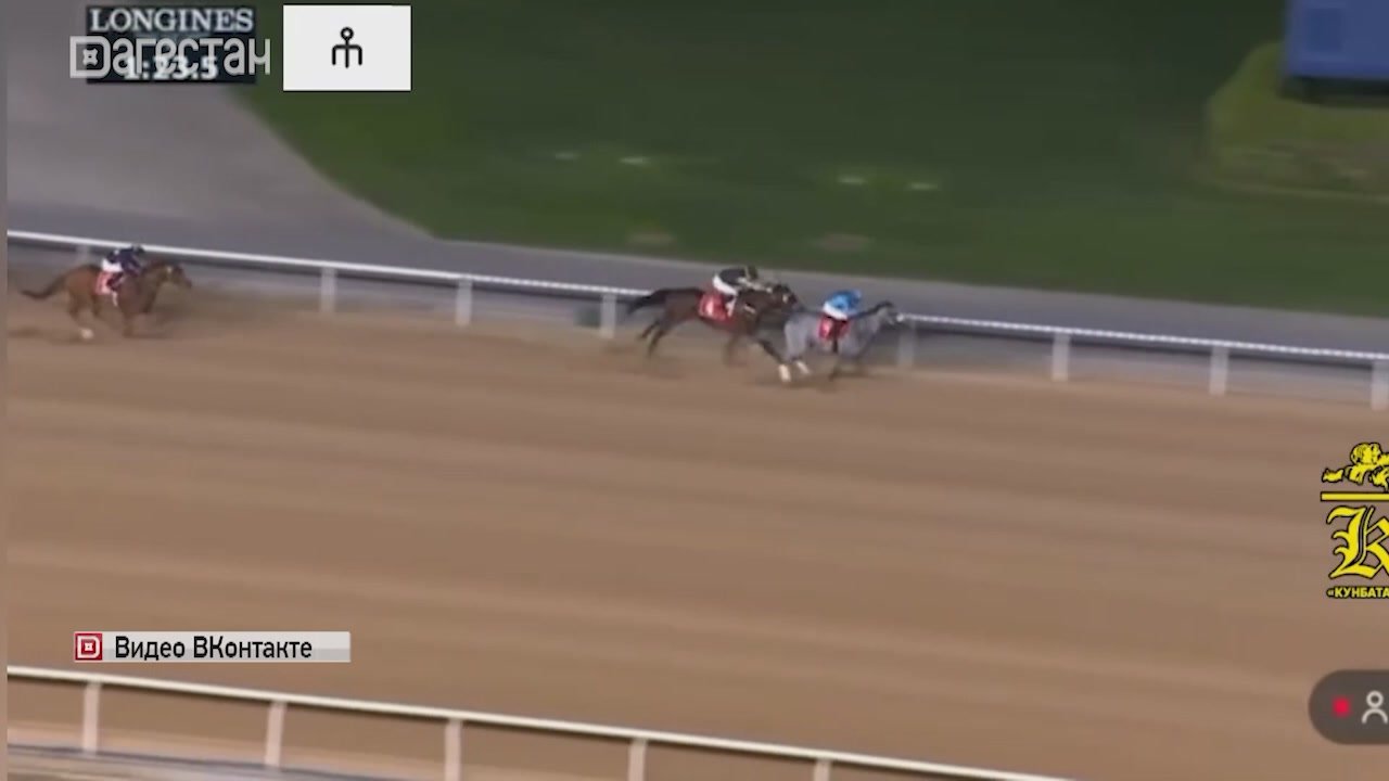Жеребец из Дагестана пришёл первым на международных скачках на ипподроме Мейдан в Дубае