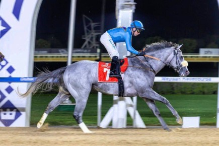           ,      Arabian Adventures