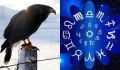 Птицы и знаки Зодиака: Какой пернатый символ соответствует вашему гороскопу?