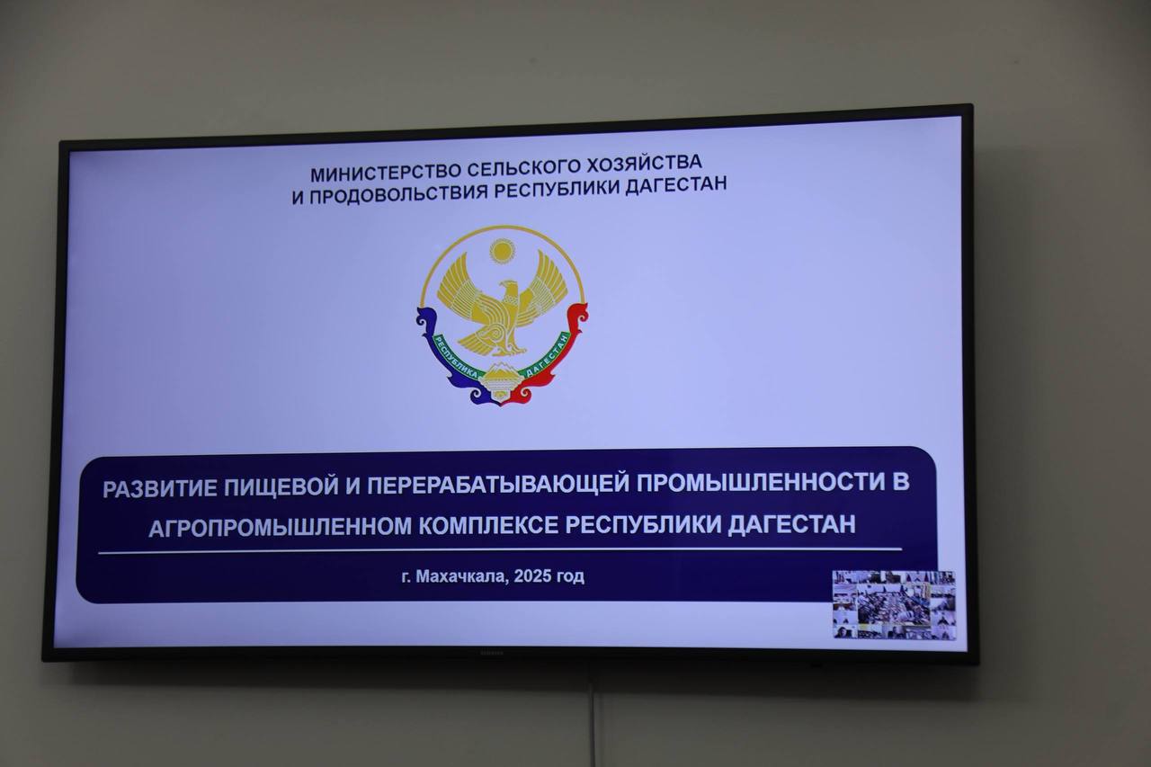 Свыше 1,3 тыс. тонн овощей и плодов направили на переработку в Дагестане Свыше 1,3 тыс. тонн овощей и плодов направили на переработку в Дагестане