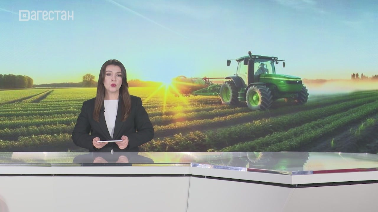 Более 15 млн рублей направят в Дагестан на поддержку участников СВО, развивающих агробизнес