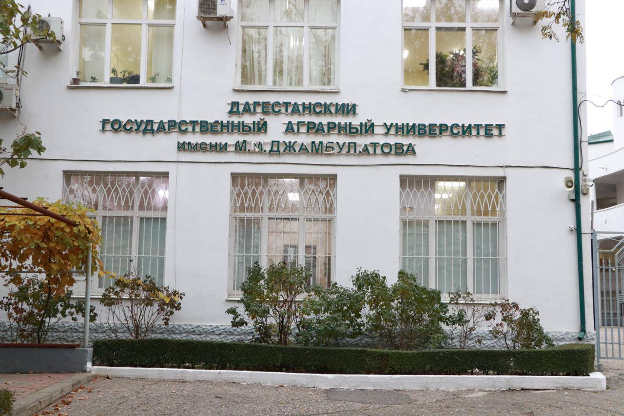 По материалам проверки прокуратуры Махачкалы возбуждено уголовное дело о подделке официального документа бывшим проректором высшего учебного заведения