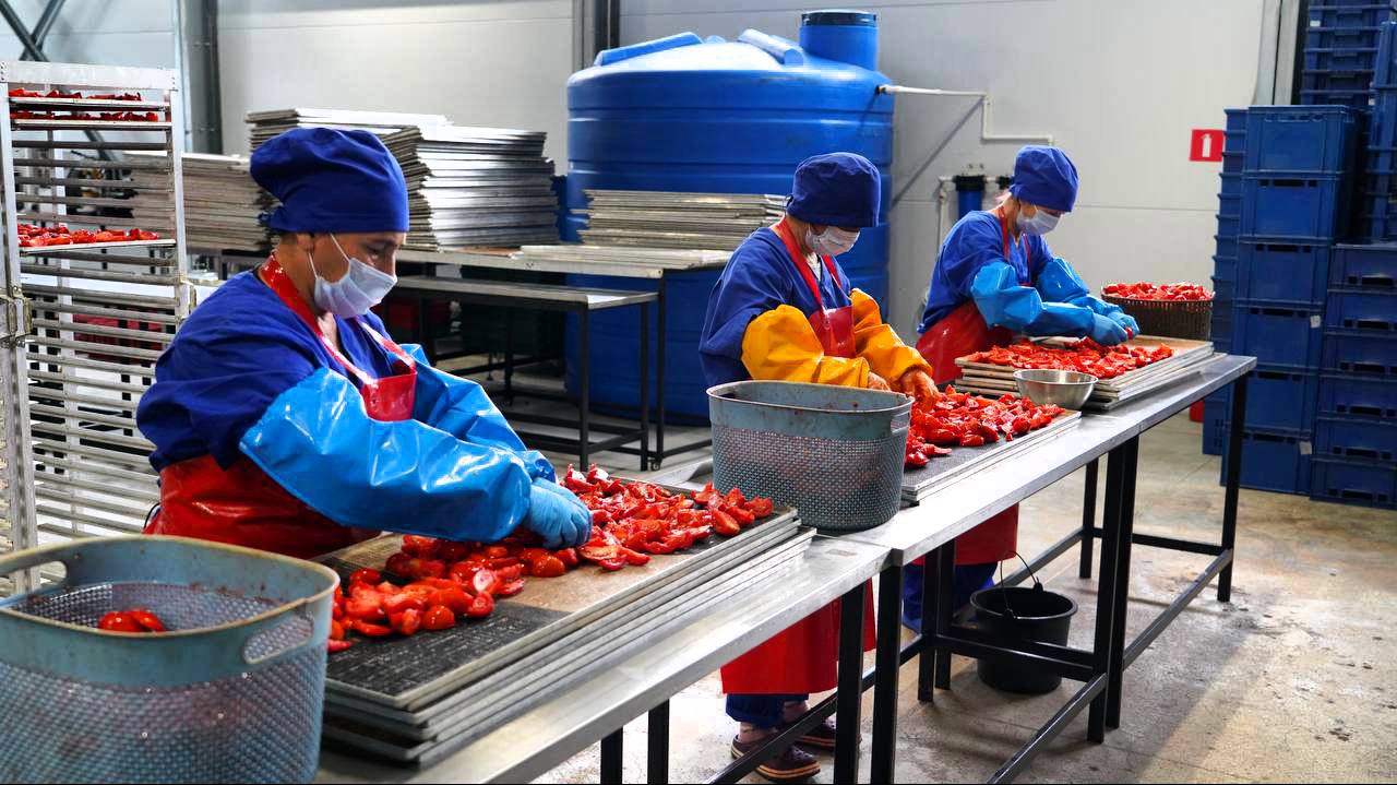 В Дагестане прогнозируют резкий рост производства плодоовощных консервов В Дагестане прогнозируют резкий рост производства плодоовощных консервов