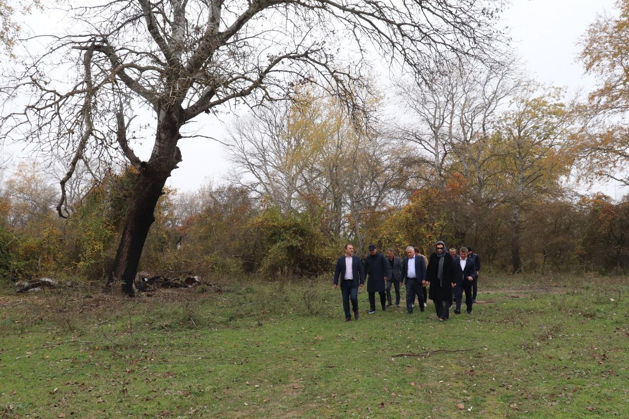 В Дагестане стартует масштабный проект по производству форели В Дагестане стартует масштабный проект по производству форели