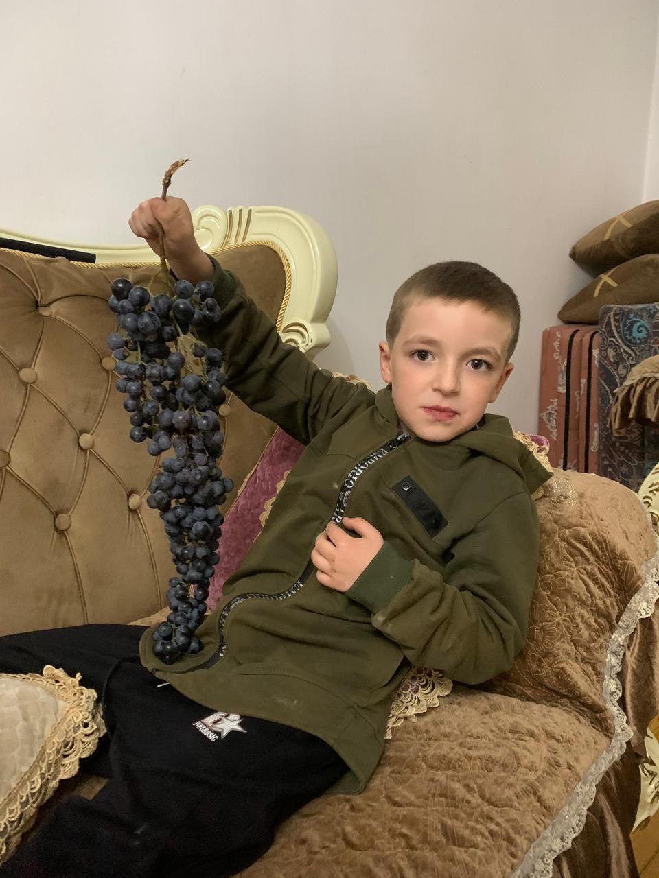 Возрождение дагестанского сорта винограда «Хьоп-халат» Возрождение дагестанского сорта винограда «Хьоп-халат»