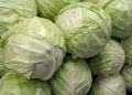 Как вырастить идеальную капусту