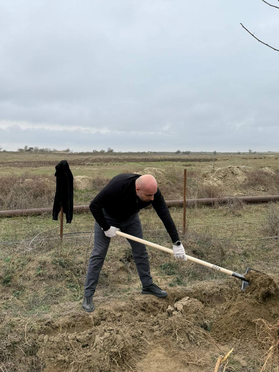 По поручению Главы Дагестана Сергея Меликова сегодня, 15 ноября, Минприроды Дагестана провел масштабный субботник по озеленению территории в Ногайском районе По поручению Главы Дагестана Сергея Меликова сегодня, 15 ноября, Минприроды Дагестана провел масштабный субботник по озеленению территории в Ногайском районе
