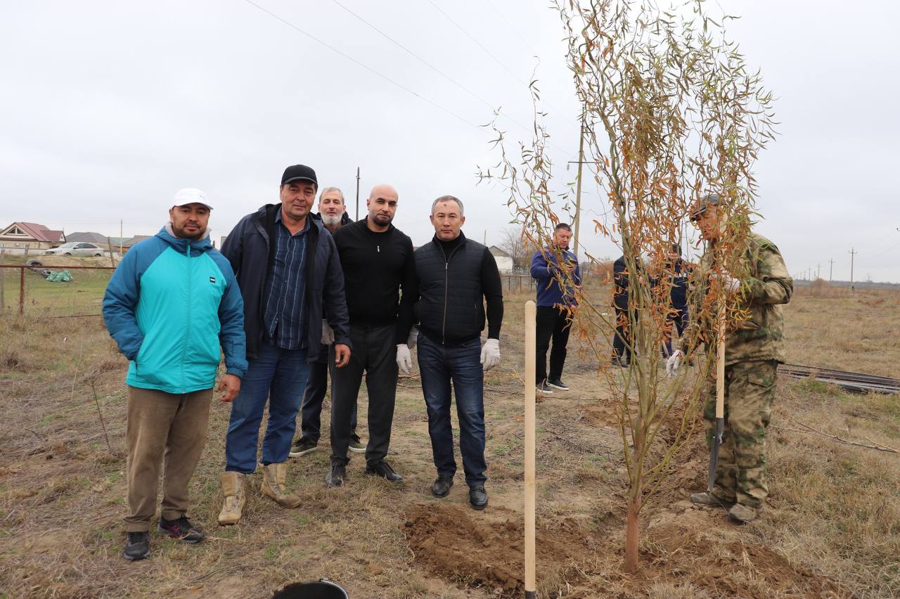 По поручению Главы Дагестана Сергея Меликова сегодня, 15 ноября, Минприроды Дагестана провел масштабный субботник по озеленению территории в Ногайском районе По поручению Главы Дагестана Сергея Меликова сегодня, 15 ноября, Минприроды Дагестана провел масштабный субботник по озеленению территории в Ногайском районе