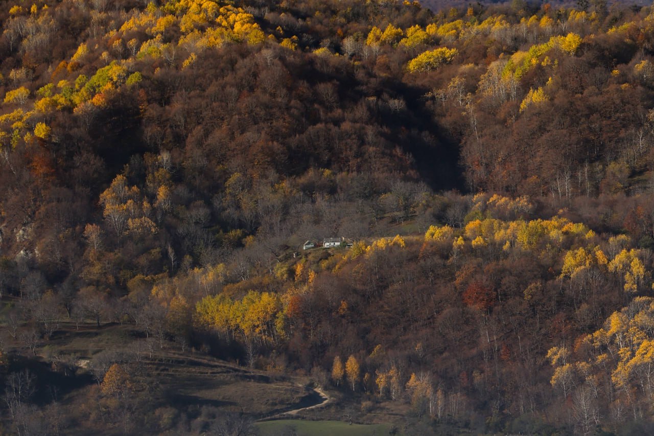 Золотая осень в горах Дагестана в объективе нашего фотографа Мусы Салгереева Золотая осень в горах Дагестана в объективе нашего фотографа Мусы Салгереева