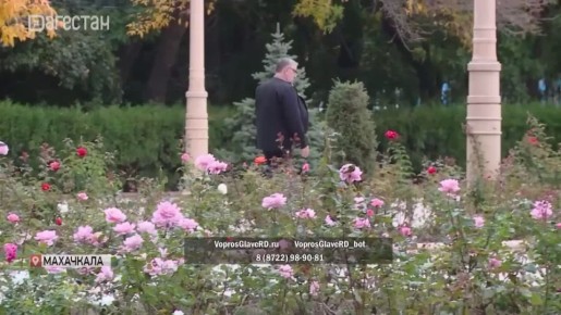 Дагестанцы ждут «Прямую линию» главы региона