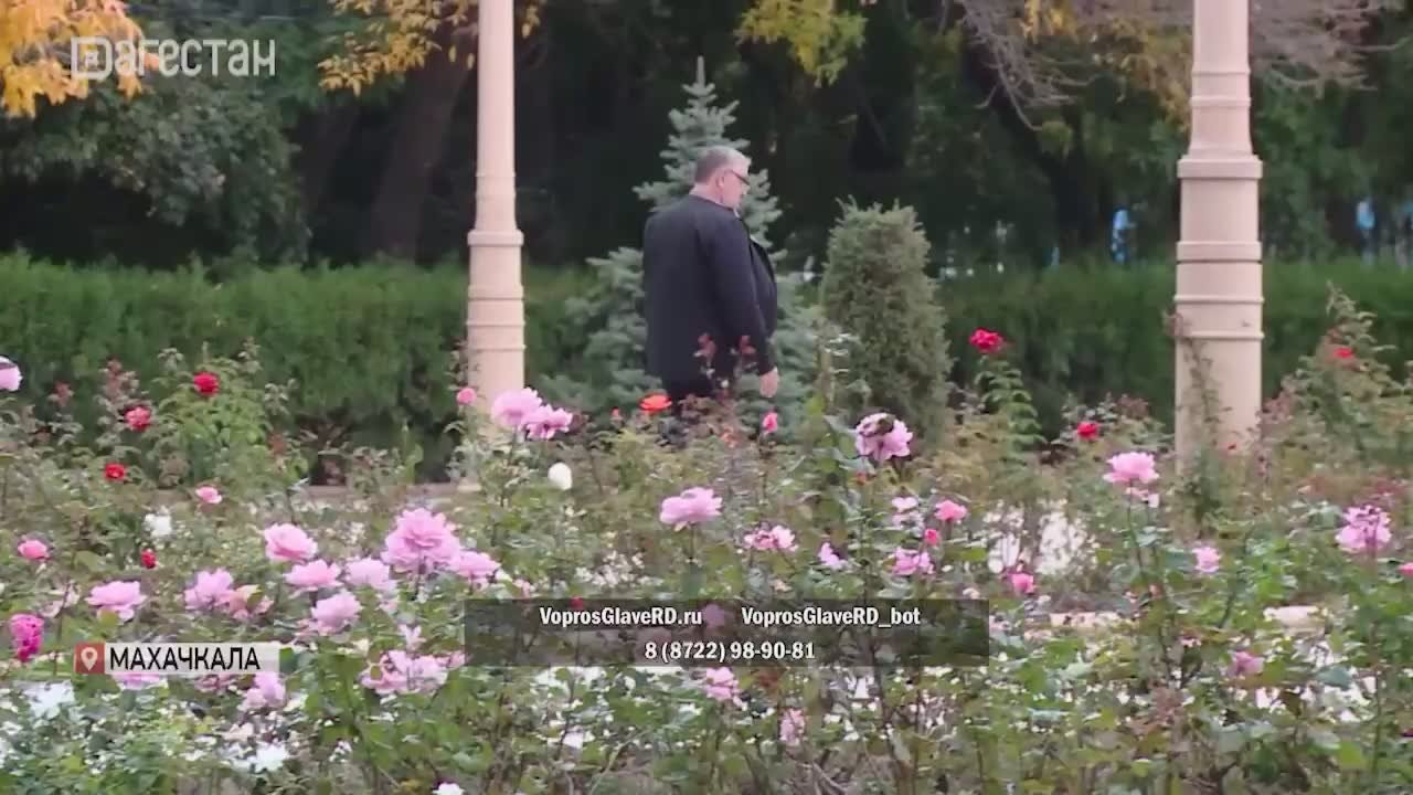 Дагестанцы ждут «Прямую линию» главы региона