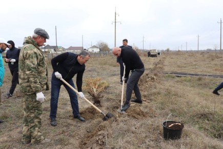 По поручению Главы Дагестана Сергея Меликова сегодня, 15 ноября, Минприроды Дагестана провел масштабный субботник по озеленению территории в Ногайском районе