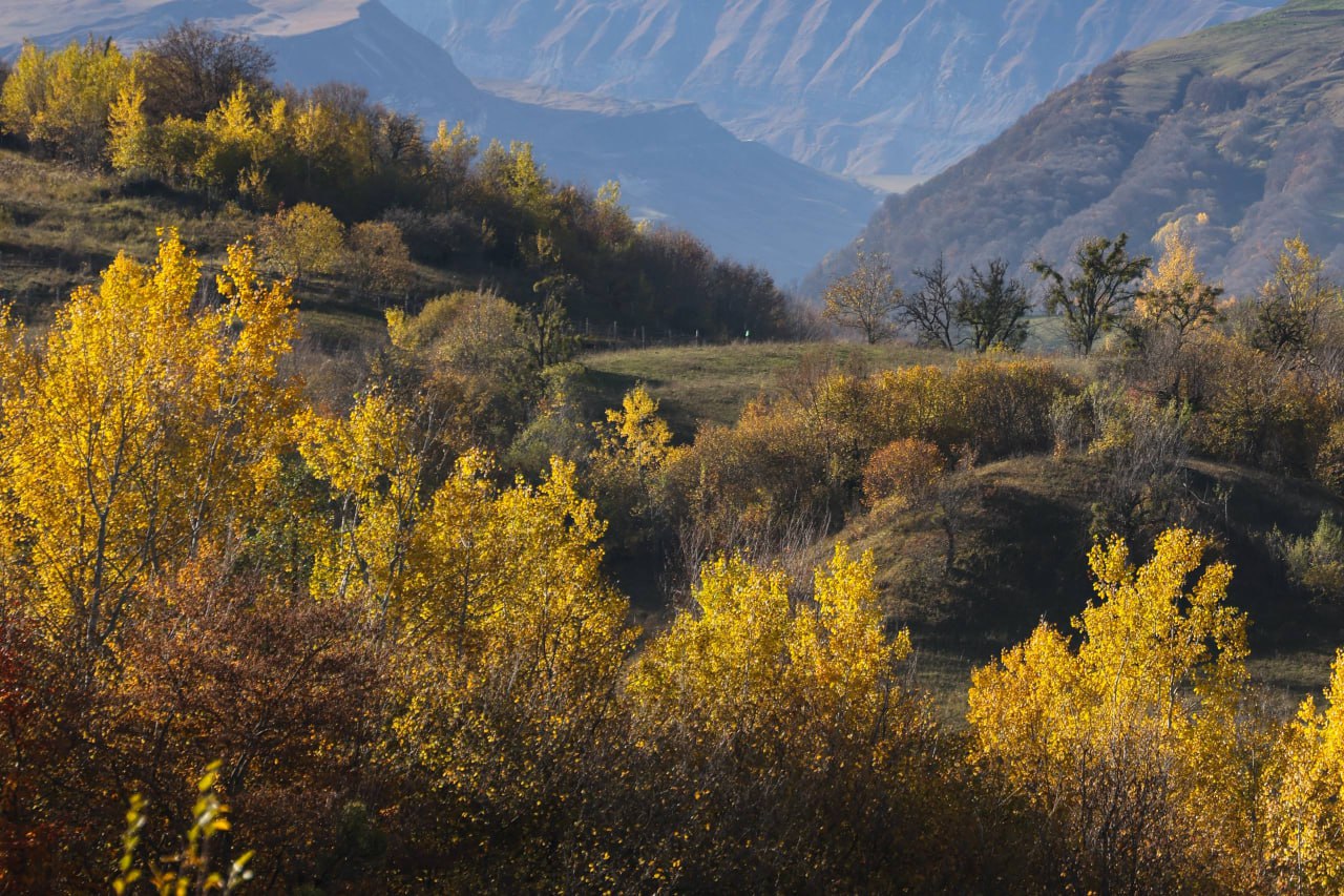 Золотая осень в горах Дагестана в объективе нашего фотографа Мусы Салгереева Золотая осень в горах Дагестана в объективе нашего фотографа Мусы Салгереева