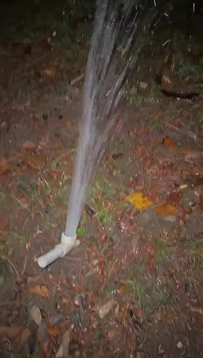 15.11.2025.           ,            