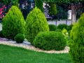 Туи: как создать великолепный зеленый уголок в своем саду