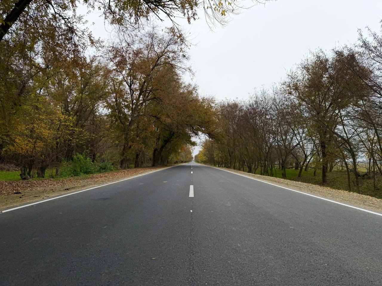 Торжественное открытие обновленной автомобильной дороги в Ногайском районе Торжественное открытие обновленной автомобильной дороги в Ногайском районе