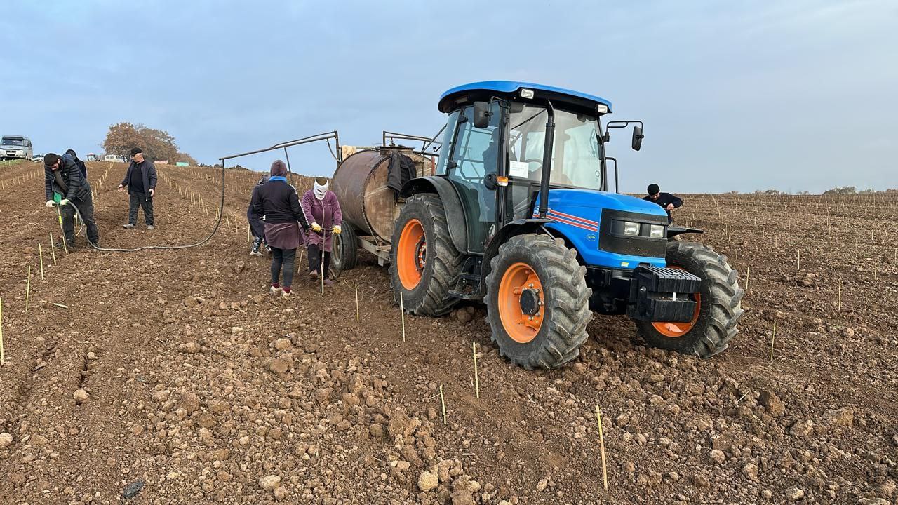 В Дербентском районе с. Бильгади закладываются новые виноградники сорта Савиньон Блан КФХ "Мариет" В Дербентском районе с. Бильгади закладываются новые виноградники сорта Савиньон Блан КФХ "Мариет"