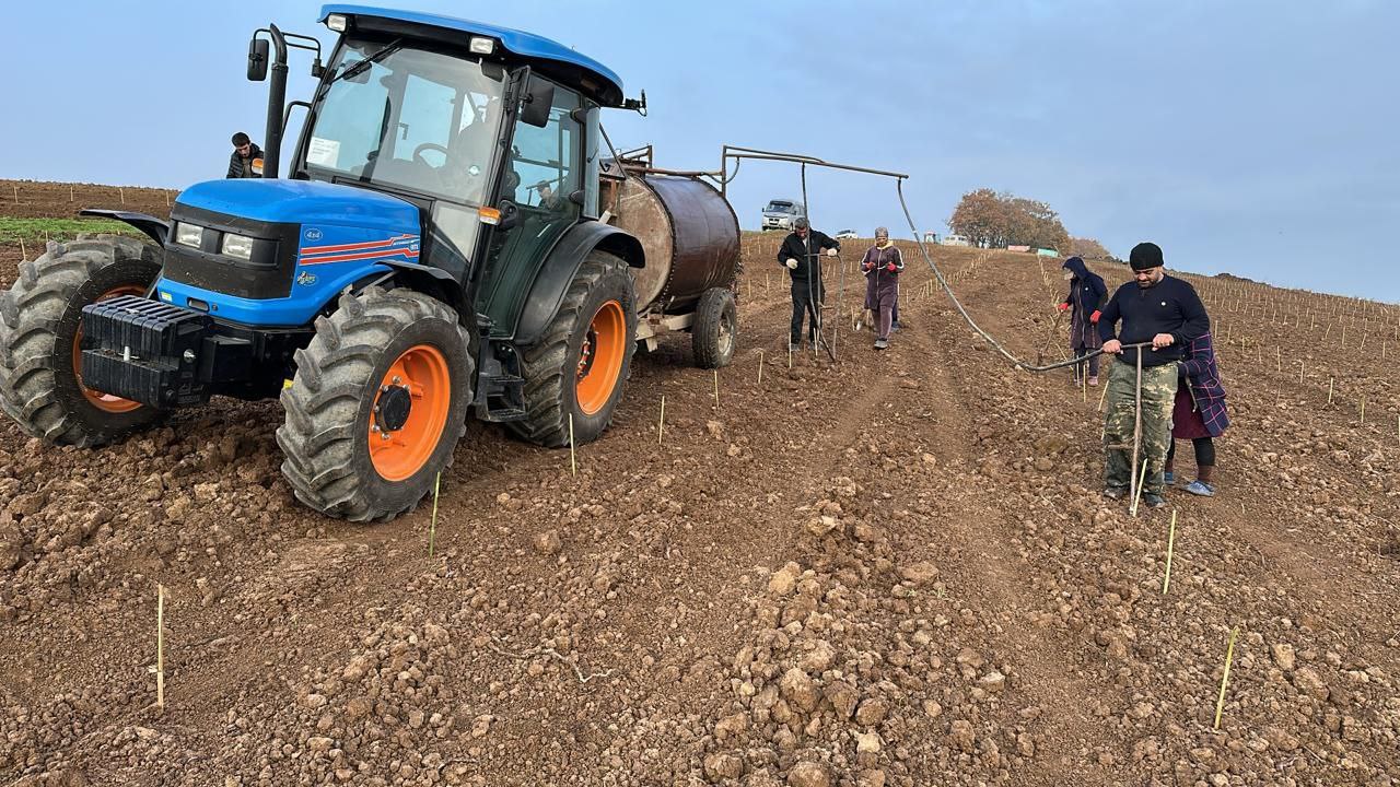 В Дербентском районе с. Бильгади закладываются новые виноградники сорта Савиньон Блан КФХ "Мариет" В Дербентском районе с. Бильгади закладываются новые виноградники сорта Савиньон Блан КФХ "Мариет"