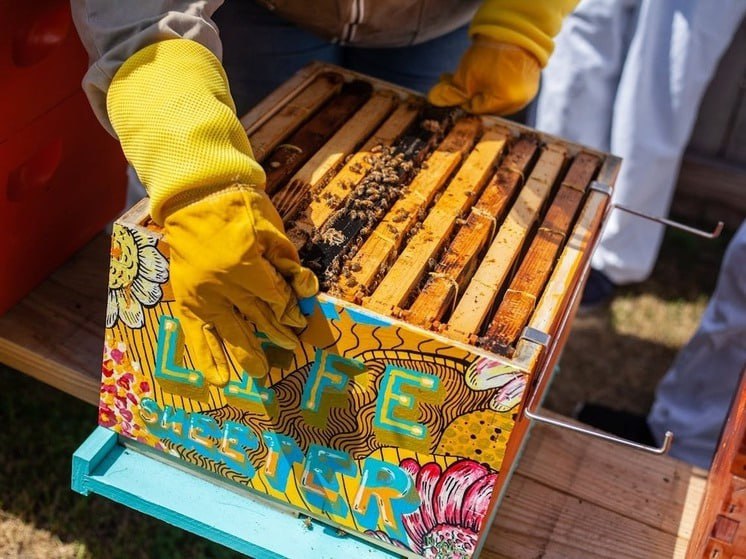 В Дагестане в середине ноября выявлена партия мёда неизвестного происхождения объемом 39 тонн, принадлежащая пчеловодческому кооперативу «Приволье», который, по данным Россельхознадзора, не занимался производством мёда по...