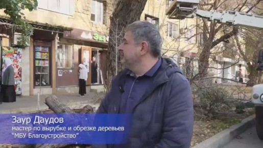На официальный телеграм-канал Главы г. Махачкалы Джамбулата Салавова поступил сигнал о необходимости спила ветхого дерева, находящего в аварийном состоянии