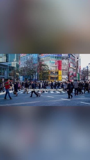 В эфире телеканала ННТ — Итоги дня с Беллой Ахмедовой