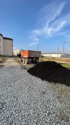  #15  ,        &quot;&quot;       ,        