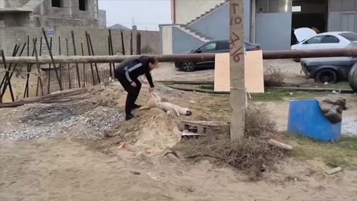     20      . ,       . .          ,      ...