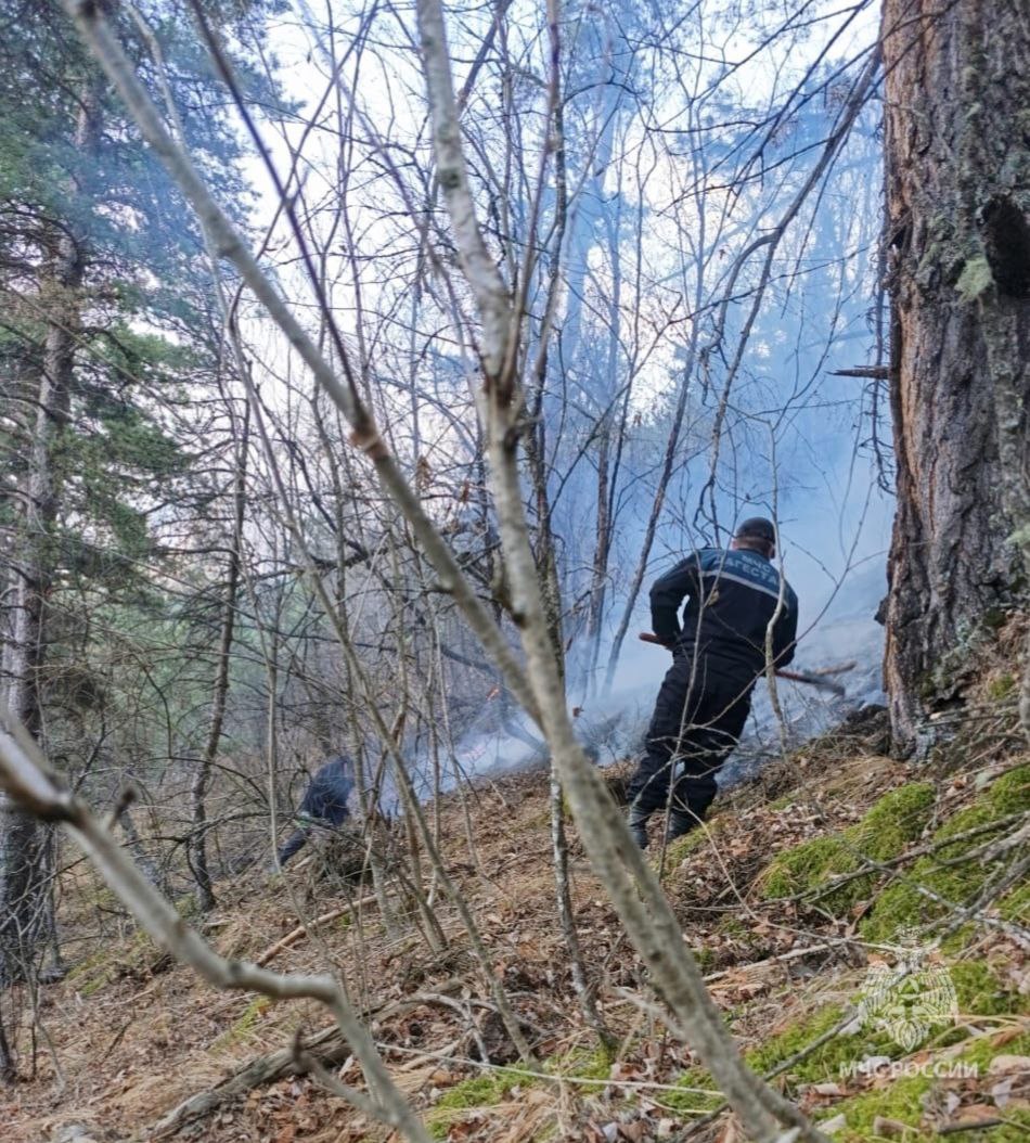 Очаг возгорания сухой растительности в Шамильском районе локализован — МЧС Дагестана