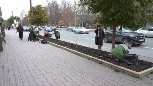 Разноцветные тюльпаны высажены на проспекте Расула Гамзатова