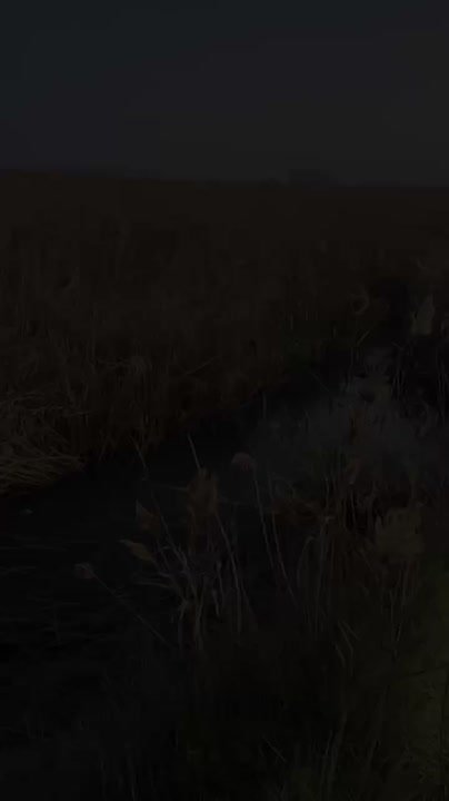 Жители Махачкалы могут помочь в обеспечении чистоты и порядка в городе