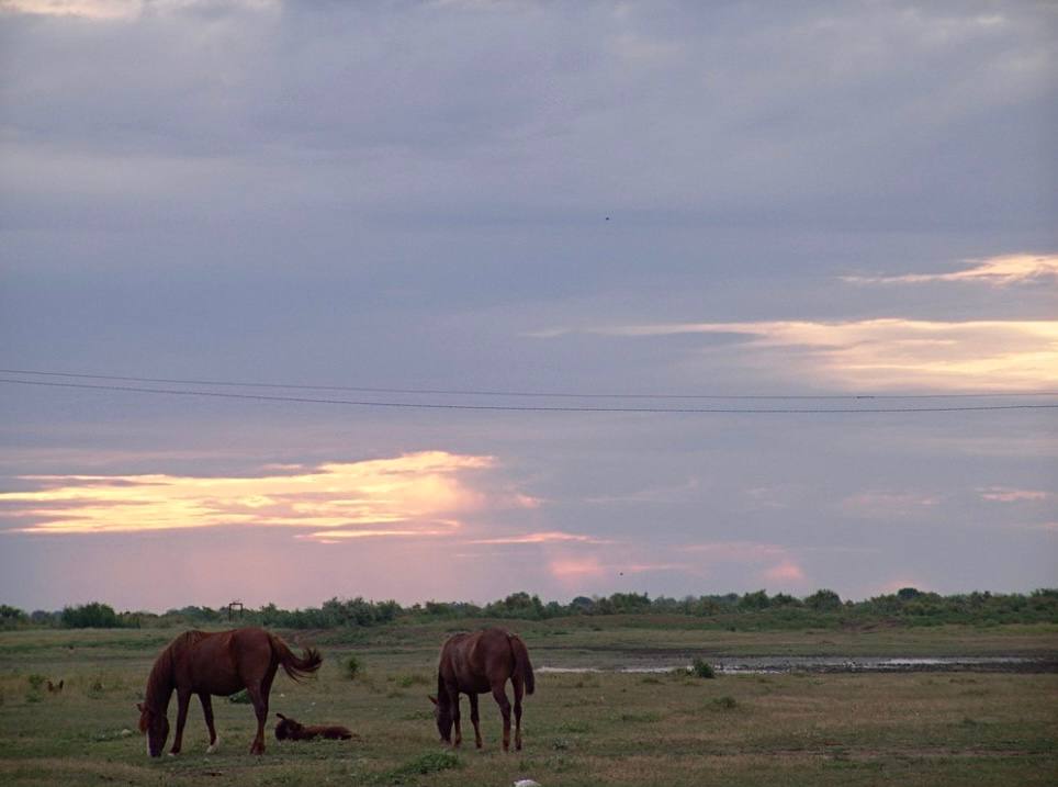 Казбековский район — визитная карточка туристического Дагестана Казбековский район — визитная карточка туристического Дагестана