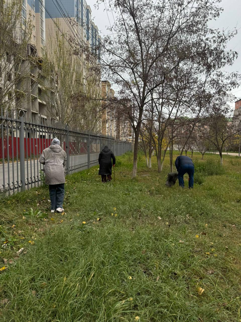 Редакция «Махачкалинских известий» также вышла на общегородской субботник Редакция «Махачкалинских известий» также вышла на общегородской субботник