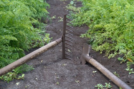 А вы и не догадывались: вот как еще можно использовать садовые грабли