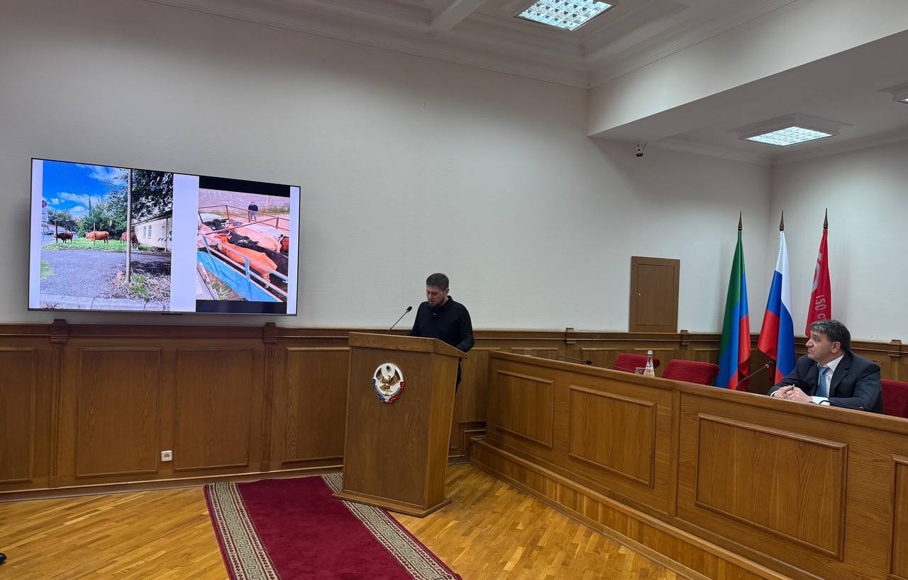 Проблема с бродячими собаками в Махачкале решена на 90% Проблема с бродячими собаками в Махачкале решена на 90%