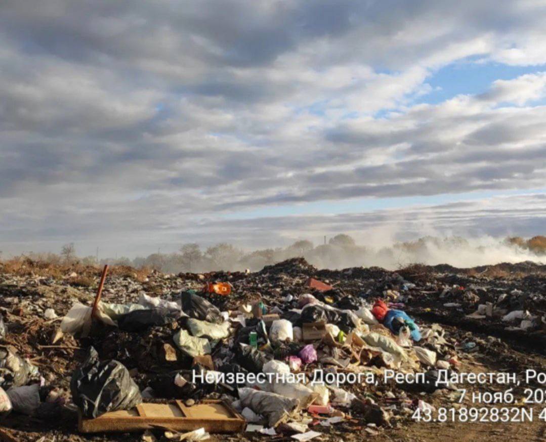 Роспотребнадзор сообщает о серьёзных нарушениях на полигоне ТКО МУП «САХ» в Кизляре