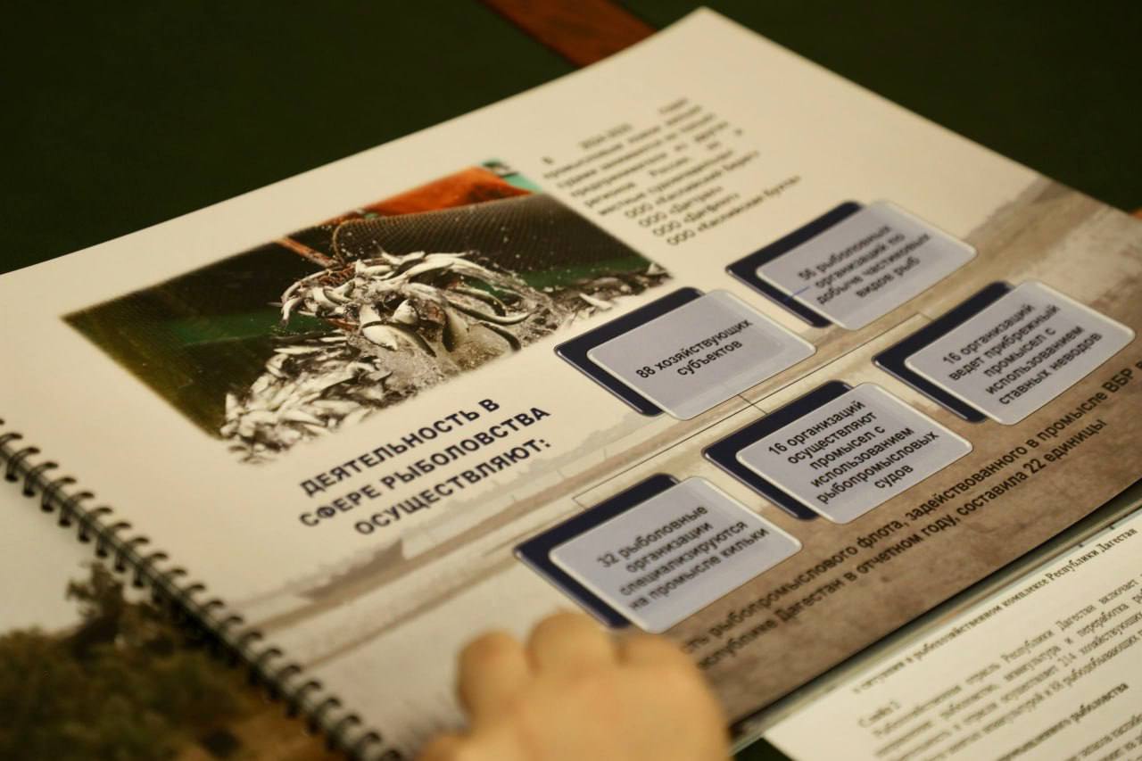 «Падение уровня Каспийского моря отрицательно влияет на прибрежный промысел, затрудняет выход в море рыбаков, особенно в северной части республики» «Падение уровня Каспийского моря отрицательно влияет на прибрежный промысел, затрудняет выход в море рыбаков, особенно в северной части республики»