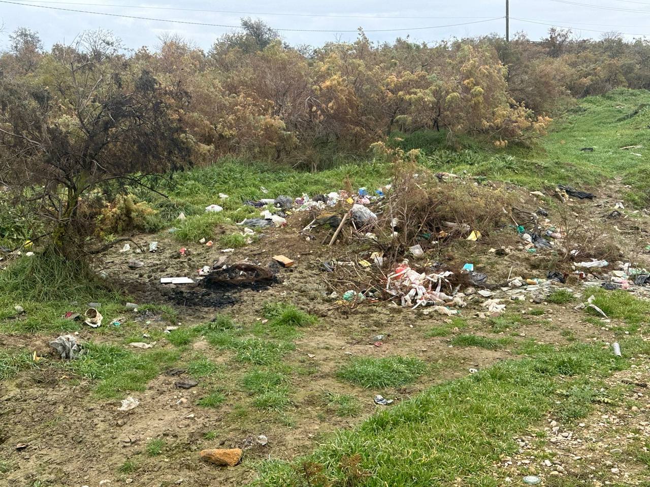 Специалисты Минприроды РД обследовали водоохранную зону реки Гамриозень в Каякентском районе Специалисты Минприроды РД обследовали водоохранную зону реки Гамриозень в Каякентском районе