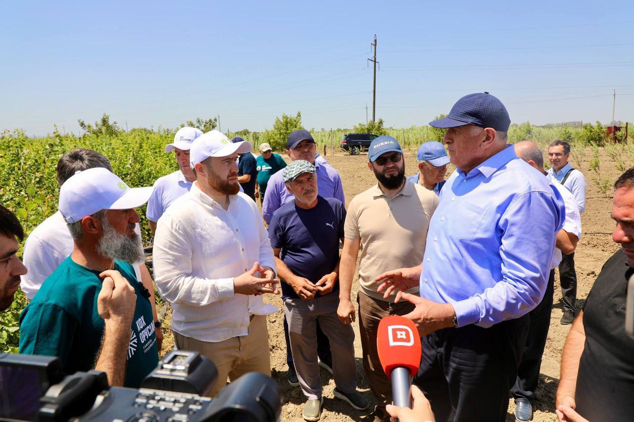 Дагестанское хозяйство поставило первую партию саженцев черешни в Узбекистан Дагестанское хозяйство поставило первую партию саженцев черешни в Узбекистан