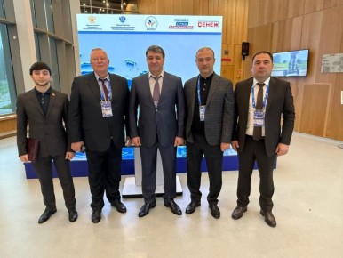  :    -      ۻ,   56        -  