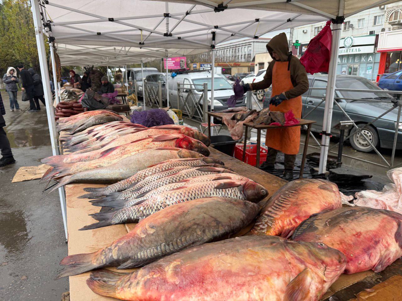 В Махачкале открылась рыбная и сельскохозяйственная ярмарка В Махачкале открылась рыбная и сельскохозяйственная ярмарка