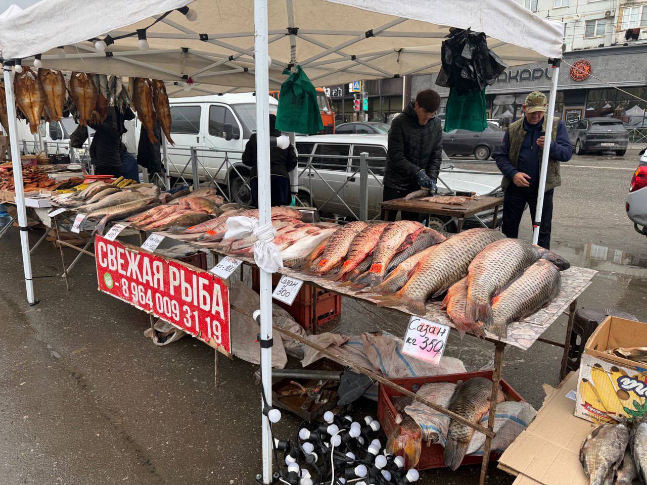 В Махачкале открылась рыбная и сельскохозяйственная ярмарка В Махачкале открылась рыбная и сельскохозяйственная ярмарка