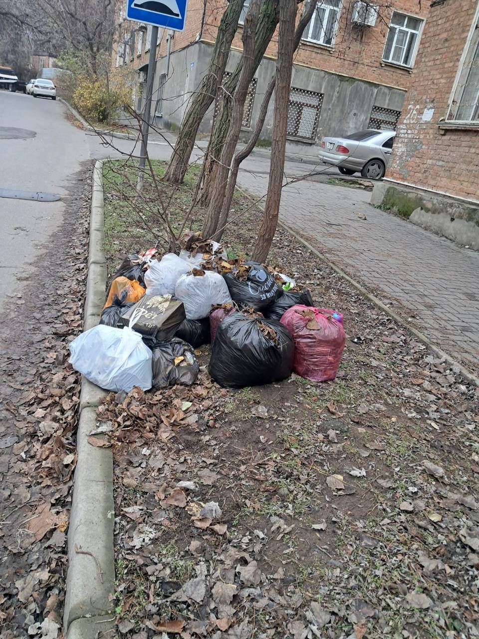 В Махачкале после субботника на улице Жукова на тротуарах были оставлены многочисленные пакеты с мусором В Махачкале после субботника на улице Жукова на тротуарах были оставлены многочисленные пакеты с мусором